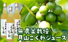 【ふるさと納税】FYN9-179 月山こくわジュース 100％原液 さるなし コクワ 無農薬 酸味 山形県 西川町