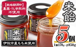 【ふるさと納税】isa155 無添加米飴(850g・170g×5個) ふるさと納税 伊佐市 特産品 シロップ 伊佐市産もち米 使用 米飴 砂糖 はちみつ 代