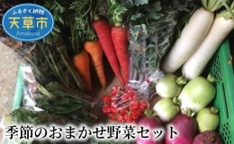 【ふるさと納税】S096-002_季節のおまかせ野菜セット