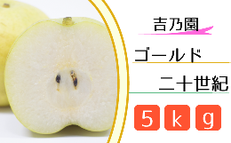 【ふるさと納税】CD018 【吉乃園】松戸の完熟梨「ゴールド二十世紀」5kg