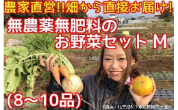 【ふるさと納税】BR001 松戸市の４人家族から旬の自然栽培野菜セットM