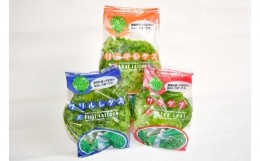 【ふるさと納税】【F01003】完全無農薬レタス　夢野菜詰め合わせ15袋セット