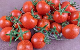 【ふるさと納税】【中富良野町】寺坂農園ミニトマト　ほれまる　2kg