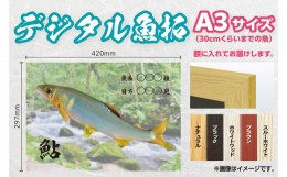 【ふるさと納税】CM-011 【A３・デジタル魚拓】メモリアルフィッシュを釣れたてのままに。