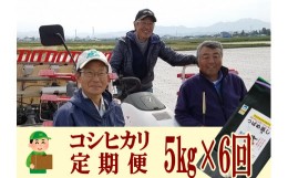 【ふるさと納税】【令和6年産米予約受付中】おかずのいらないコシヒカリ「つばめ返し5kg」6か月定期便(月イチで計6回) FC048002