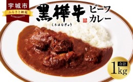 【ふるさと納税】黒樺牛 ビーフカレー 1食 200g×5個 合計1kg 黒毛和牛 カレー