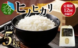 【ふるさと納税】【定期便】丹生米の里 丹川のお米 ヒノヒカリ白米 5kg×12回お届け定期便 米 白米 精米 新米 ご飯 おにぎり お弁当 ブラ