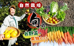 【ふるさと納税】【自然栽培】 旬のお野菜・果物セット | 野菜 やさい ヤサイ フルーツ 果物 くだもの 旬 セット 熊本県 苓北町