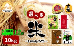 【ふるさと納税】【定期便12回】 熊本県産 ひのひかり 10kg×12回 | 米 こめ お米 おこめ 白米 精米 玄米 定期 定期便 熊本県 玉名市