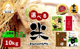 【ふるさと納税】【定期便12回】 熊本県産 くまさんの輝き 10kg×12回 | 米 こめ お米 おこめ 白米 精米 玄米 定期 定期便 熊本県 玉名市