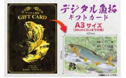 【ふるさと納税】CM-020 【A3・デジタル魚拓ギフトカード】メモリアルフィッシュを釣れたてのままに。