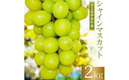 【ふるさと納税】【2024年産】埼玉県伊奈町産シャインマスカット2kg ／山岸農園 ブドウ ぶどう 葡萄 果物 フルーツ 数量限定