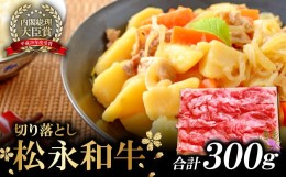 【ふるさと納税】松永和牛 切り落とし 300g【和牛 黒毛和牛 切り落とし 300g 肉 牛肉 松永和牛 まつなが牛 冷凍】