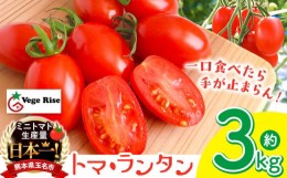 【ふるさと納税】ミニトマト生産量 日本一 玉名市 !！ 「 トマ・ランタン 」 約 3kg ミニトマト トマト Vege Rise 野菜 高糖度 濃厚 アイ
