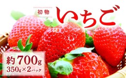 【ふるさと納税】初物いちご（350g×2パック）【先行予約 果物 くだもの フルーツ 苺 いちご イチゴ 350g×2パック 初物 冷蔵 期間限定 