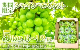 【ふるさと納税】【先行予約】甘くて美味しい シャインマスカット 5kg（6〜12房）【先行予約 ぶどう シャインマスカット マスカット 5.0k