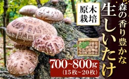 【ふるさと納税】森の香り豊かな『美都の原木栽培生しいたけ』（700〜800g）【先行予約 野菜 きのこ キノコ 椎茸 しいたけ シイタケ 生し