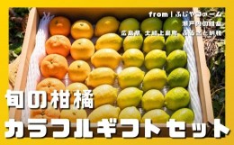 【ふるさと納税】[11~12月発送] 島の宝石箱！大崎上島産　旬の柑橘カラフルギフトセット