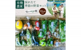 【ふるさと納税】有機農家の採れたて季節野菜のセット【旬のvege箱】