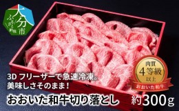 【ふるさと納税】3Dフリーザーで急速冷凍。美味しさそのまま！おおいた和牛切り落とし　約300g 牛肉 和牛切り落とし 冷凍 赤身 霜降り ブ