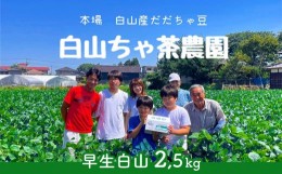 【ふるさと納税】【令和6年産先行予約】山形セレクション認定　だだちゃ豆 「早生白山」 2.5kg（500g×5袋）　白山ちゃ茶農園　B06-606