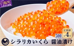 【ふるさと納税】年4回！シラリカいくら（醤油味）定期便【500g（250g×2）×4回】