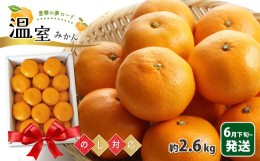 【ふるさと納税】温室みかん 『豊華の夢ロード』 約2.6kg 化粧箱入り | 果物 みかん フルーツ 熊本 玉名