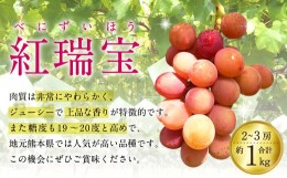 【ふるさと納税】紅瑞宝 べにずいほう 約1kg 2〜3房 河野ぶどう園【8月上旬〜9月上旬発送予定】