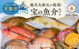 【ふるさと納税】S010-070_【魁光丸船長が厳選！】天草産 宝の魚介セット(約5〜6kg)【水】