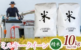 【ふるさと納税】数量限定 【令和6年産先行予約】 山形県庄内産 小池半左衛門のお米 ミルキークイーン 精米 10kg (5kg×2袋)