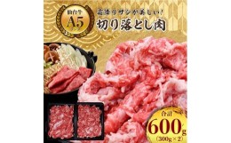 【ふるさと納税】＜ A5 ランク 仙台牛 ＞ 牛肉 の 切り落とし 合計600g(300g×2) 小分け で使い勝手も◎_ お肉 肉 焼肉 すき焼き しゃぶ