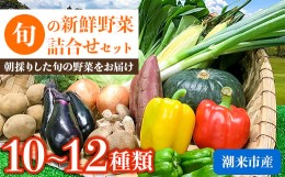 【ふるさと納税】旬の新鮮野菜詰合せセット【1239636】