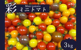 【ふるさと納税】サザキ農園 ミニトマト彩りセット （ 丸型 ） 3kg | 野菜 やさい トマト とまと ミニトマト カラフル 彩り セット 熊本