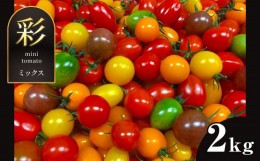 【ふるさと納税】ミニトマト 生産量 日本一 玉名市 !! 彩りセット （ミックス） 2kg | カラフル トマト とまと 熊本県 サザキ農園 
