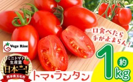 【ふるさと納税】ミニトマト生産量 日本一 玉名市 !！ 「 トマ・ランタン 」 約 1kg ミニトマト トマト Vege Rise 野菜 高糖度 濃厚 アイ