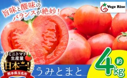 【ふるさと納税】玉名市産 トマト 「 うみとまと 」 4kg ｜ 大玉 トマト 野菜 新鮮 高糖度 熊本県 玉名市 くまもと たまな