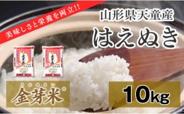 【ふるさと納税】06B1114-1　金芽米はえぬき10kg[令和6年産]