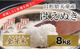 【ふるさと納税】06B1113-1　金芽米はえぬき8kg[令和6年産]