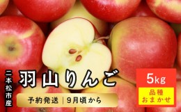 【ふるさと納税】《2024年10月上旬以降発送》羽山りんご品種おまかせ(早生・中生)5Kg【羽山果樹組合】