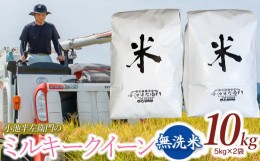 【ふるさと納税】数量限定 【令和6年産先行予約】 山形県庄内産 小池半左衛門のお米 ミルキークイーン 無洗米 10kg (5kg×2袋)