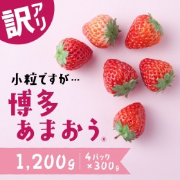 【ふるさと納税】AB380.【訳あり.限定品】あまおう.小粒ですが約１２００g（先行受付．２０２５年１月以降発送）