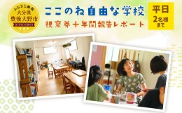 【ふるさと納税】117-572 ここのね自由な学校 視察券＋年間報告レポート 見学 豊後大野市