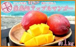 【ふるさと納税】最高級　常夏アップルマンゴー！糖度17度以上　約1kg【2024年発送】農園から直送 最高級 先行予約 沖縄 甘味 糖度 濃厚 