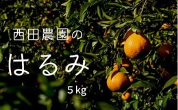 【ふるさと納税】[2月発送] 大崎上島産 西田農園のはるみ 約5kg（30個程度）