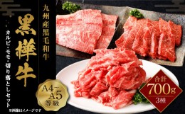 【ふるさと納税】九州産黒毛和牛 杉本本店 黒樺牛 A4〜A5等級  焼き肉用 カルビ・モモ・切り落としセット 計700g タレ1本