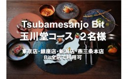 【ふるさと納税】Tsubamesanjo Bit 玉川堂コース (2名様) FC067003