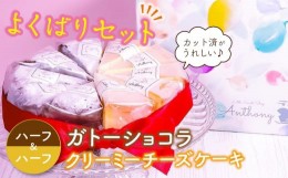 【ふるさと納税】Little Sweets Shop Anthony　ガトーショコラ&チーズケーキ　ハーフ＆ハーフケーキ