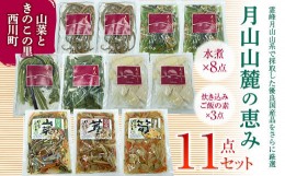 【ふるさと納税】FYN9-465 【山菜ときのこの里西川町】 特選山菜水煮と炊き込みご飯の素11点セット