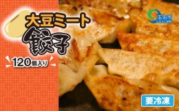 【ふるさと納税】大豆ミート餃子 120個 | 食品 加工食品 中華 大豆ミート 餃子 ぎょうざ 冷凍 惣菜 熊本県 玉名市