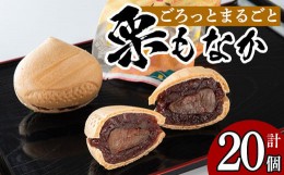 【ふるさと納税】isa324 創業100年以上の老舗菓子店が作るつぶあんの栗もなか(20個)ふるさと納税 伊佐市 特産品 老舗 栗 まるごと 最中 